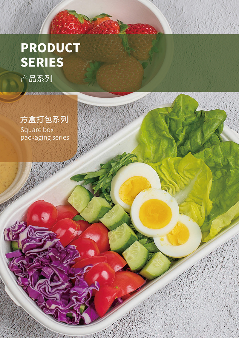 甘蔗渣環(huán)保餐具  一次性打包盒 圓盤(pán) 方盤(pán) 打包盒 碗 方盒  團(tuán)餐盒